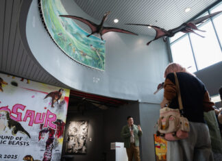 ‘Thainosaur’ เมื่อไดโนเสาร์ไทยคืนชีพที่ ‘ท่าพิพิธภัณฑ์’