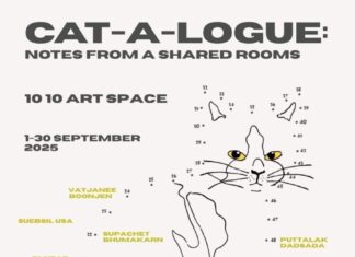 Cat-a-logue: Notes from a Shared Room