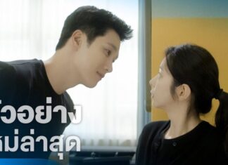 5 เหตุผลทำไมห้ามพลาด Spring Fever (ใบไม้ผลิที่รอคอย)