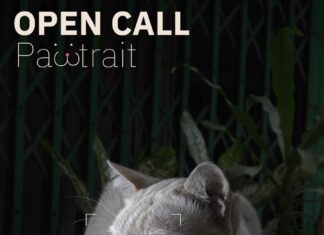 1 วัน 1,000 ภาพ ครั้งที่ 7: Pawtrait