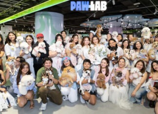 สยามดิสคัฟเวอรี่ เปลี่ยน PAW LAB สู่รันเวย์ครั้งแรก