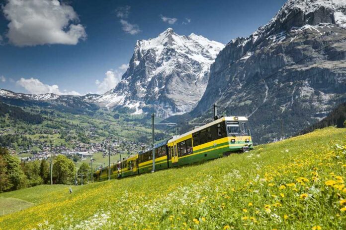 Wengernalpbahn-Zug-von-vorne-mit-Tal_edit_55166342387912